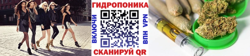 Магазины продажи наркотиков Вилюйск Кокаин  СК  Бошки Шишки  Мефедрон 