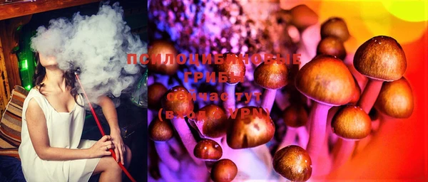 кокс Абдулино