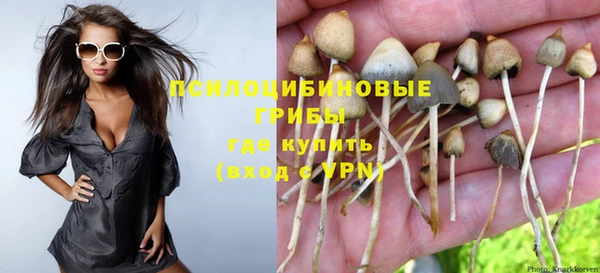 синтетический гашиш Алексеевка